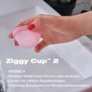 Ziggy Cup 2